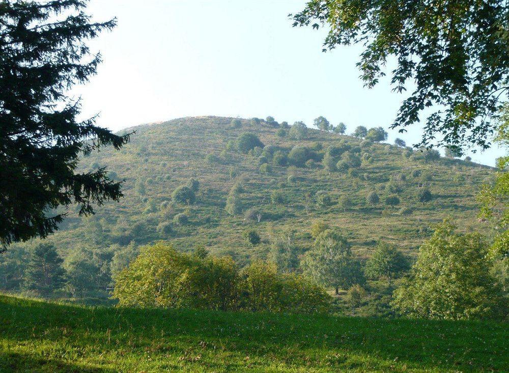 הוסטל Sormano Rifugio Alpetto Di Torno מראה חיצוני תמונה